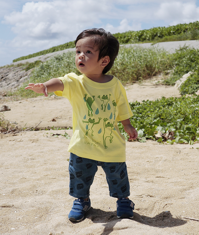 カチャーシーカエル