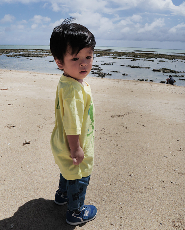 カチャーシーカエル