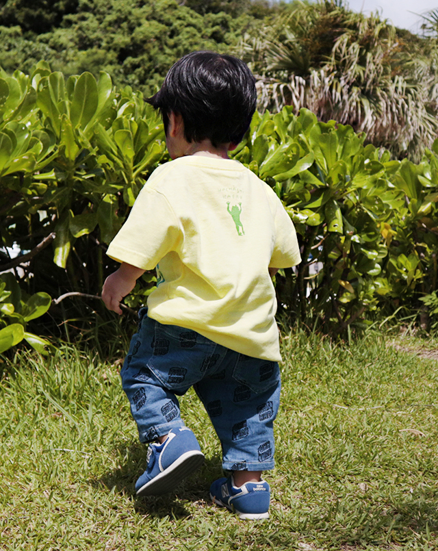 カチャーシーカエル