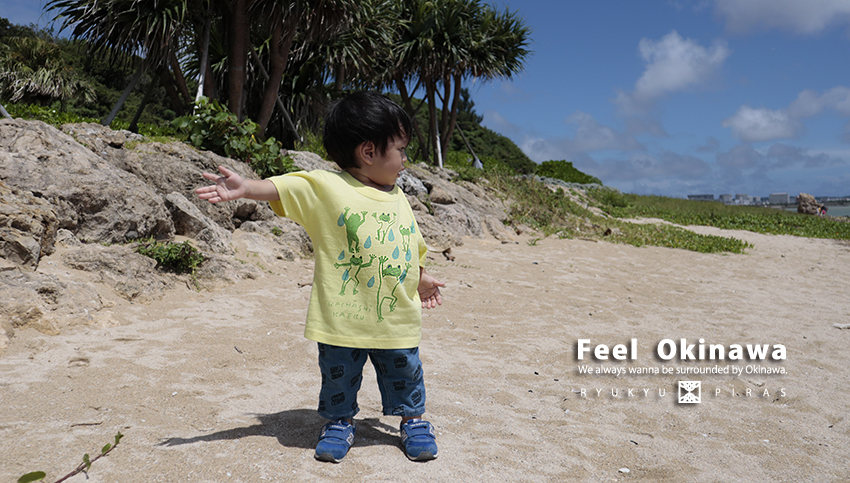 カチャーシーカエル