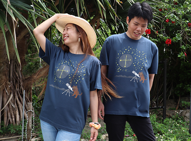 イリオモテヤマネコと南十字星