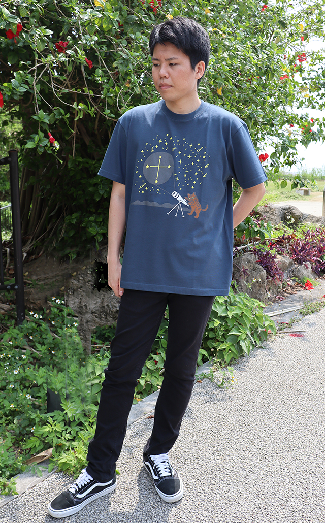 イリオモテヤマネコと南十字星