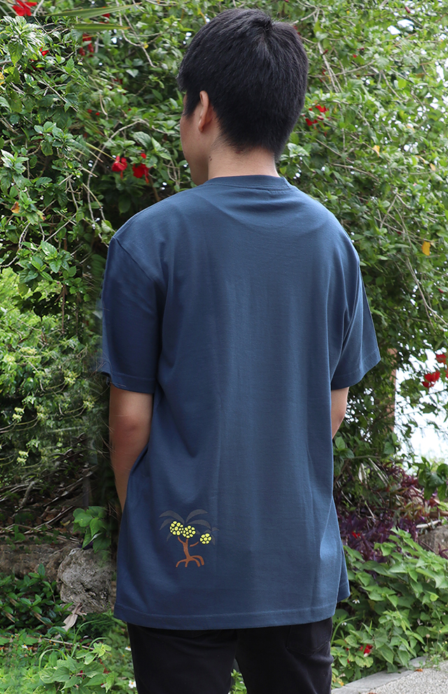 イリオモテヤマネコと南十字星