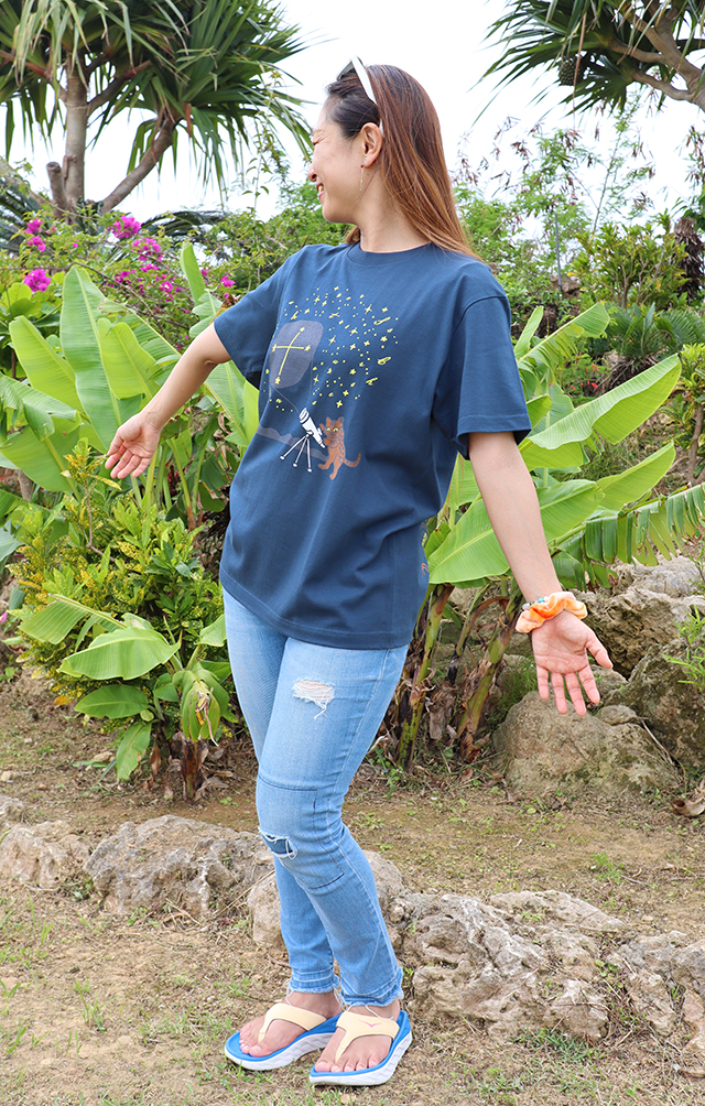 イリオモテヤマネコと南十字星