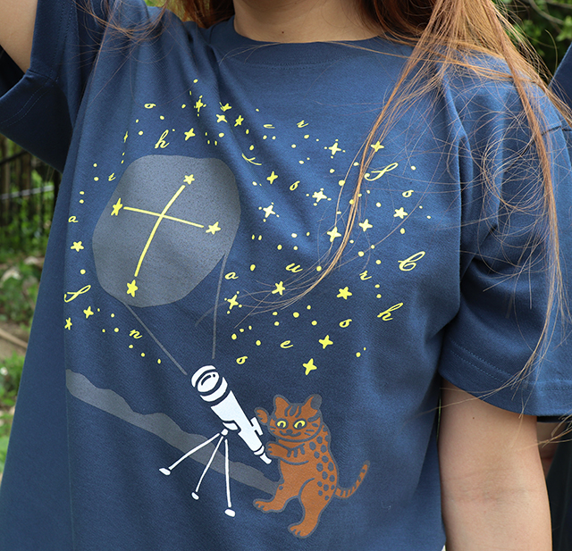 イリオモテヤマネコと南十字星