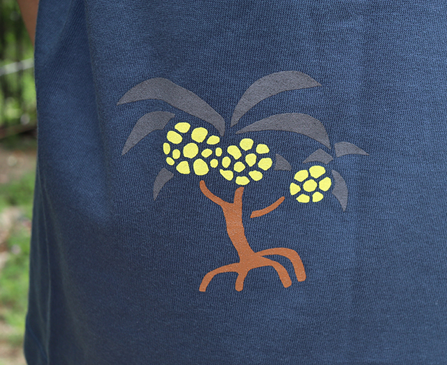 イリオモテヤマネコと南十字星