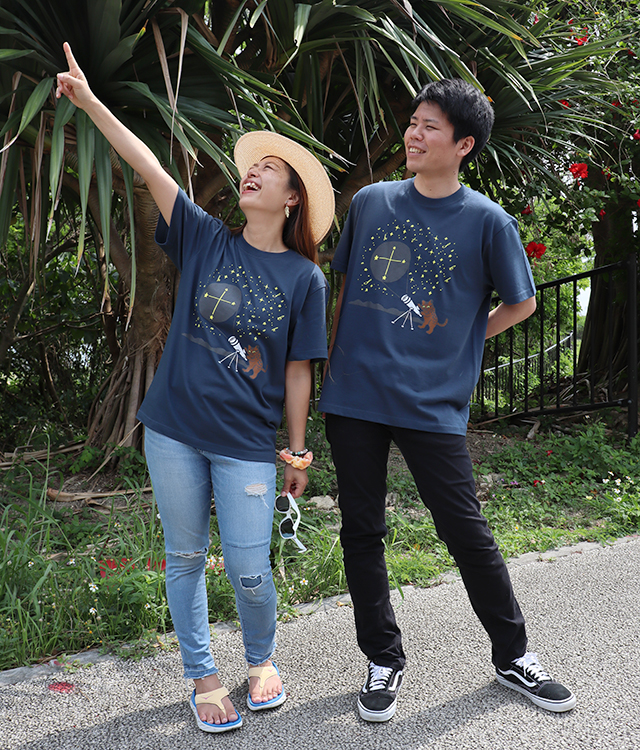 イリオモテヤマネコと南十字星