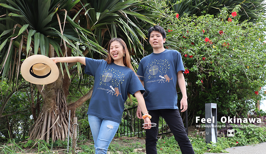 イリオモテヤマネコと南十字星