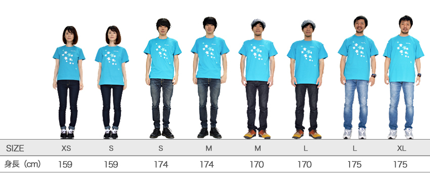サイズ比較表