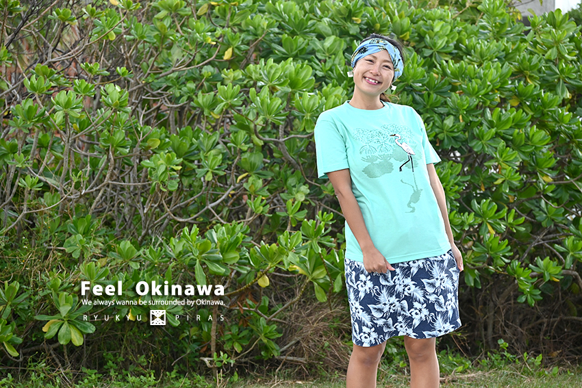 マングローブと渡り鳥