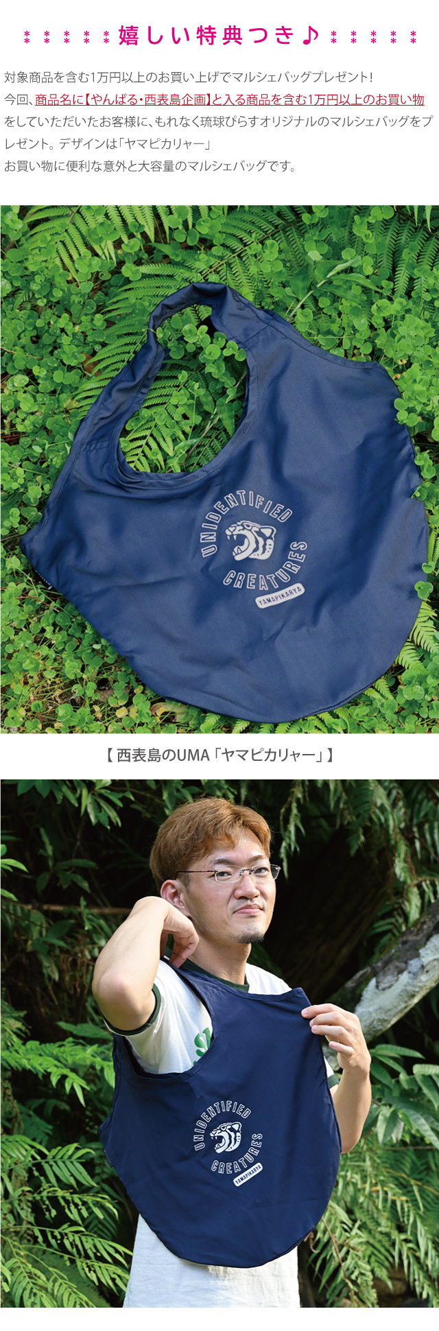 やんばる西表島企画